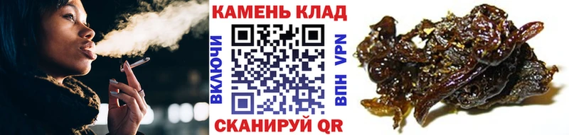 наркошоп Кораблино OMG ссылки ГАШИШ Ice-O-Lator
