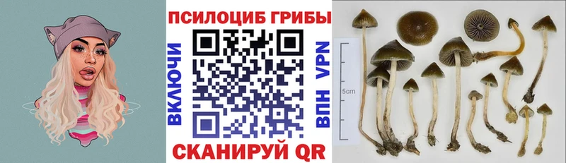 Галлюциногенные грибы Magic Shrooms  даркнет сайт  Кораблино 